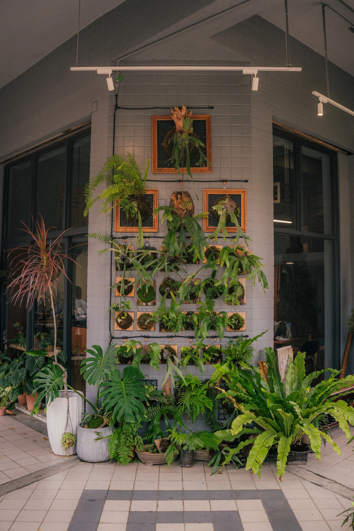 Plant-filled entrance to Plants Cafe
