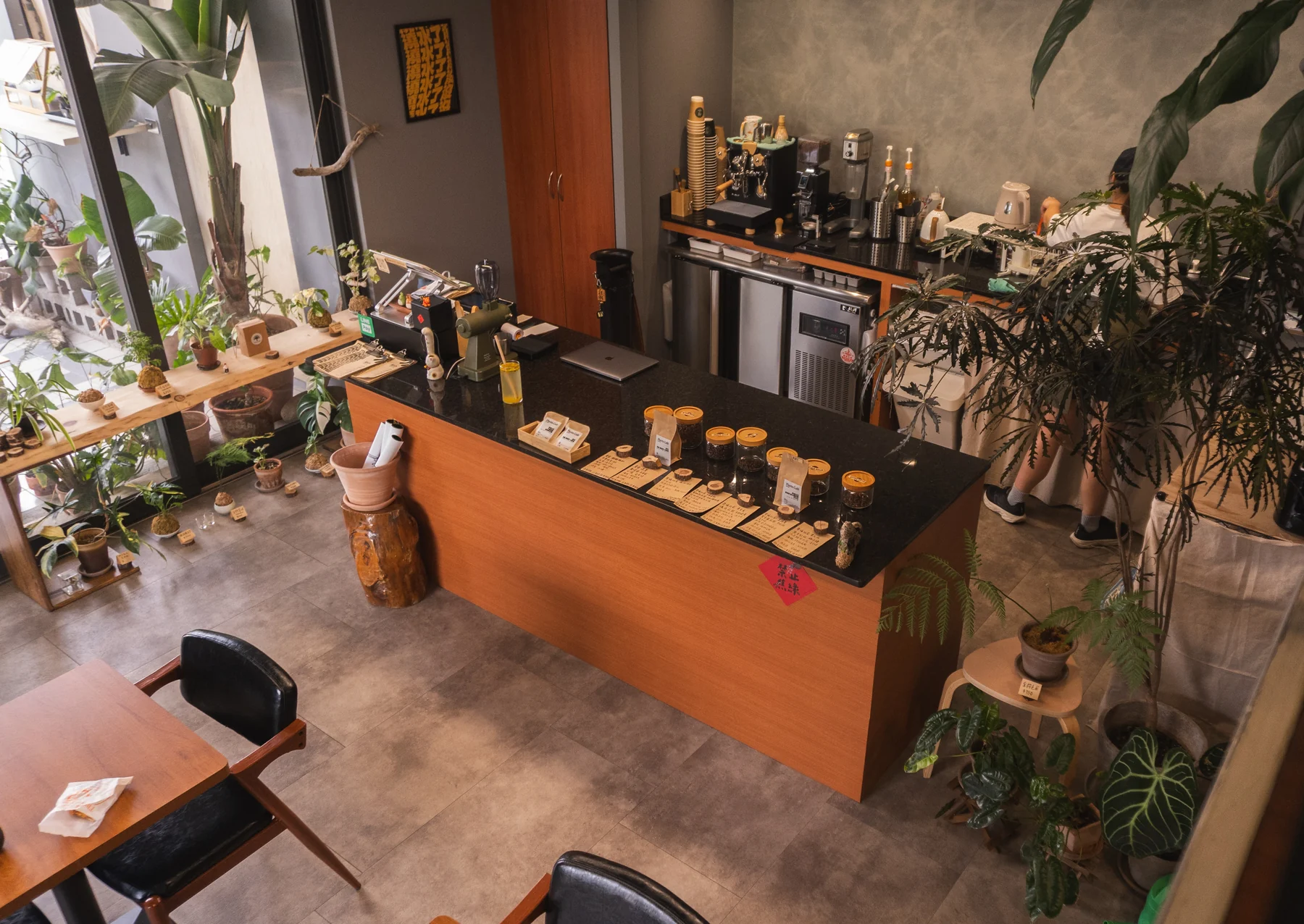 Plants Cafe counter and interior