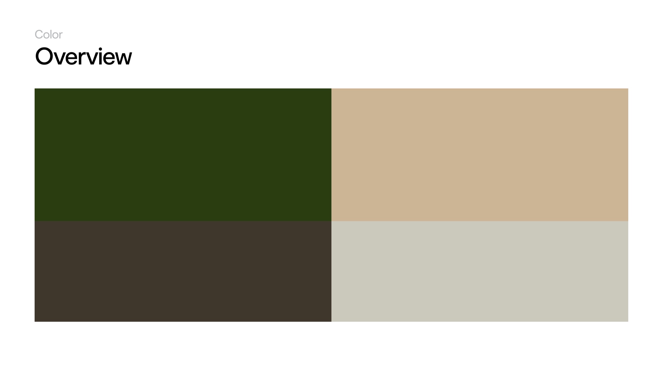 Plants Cafe visual identity color palette overview