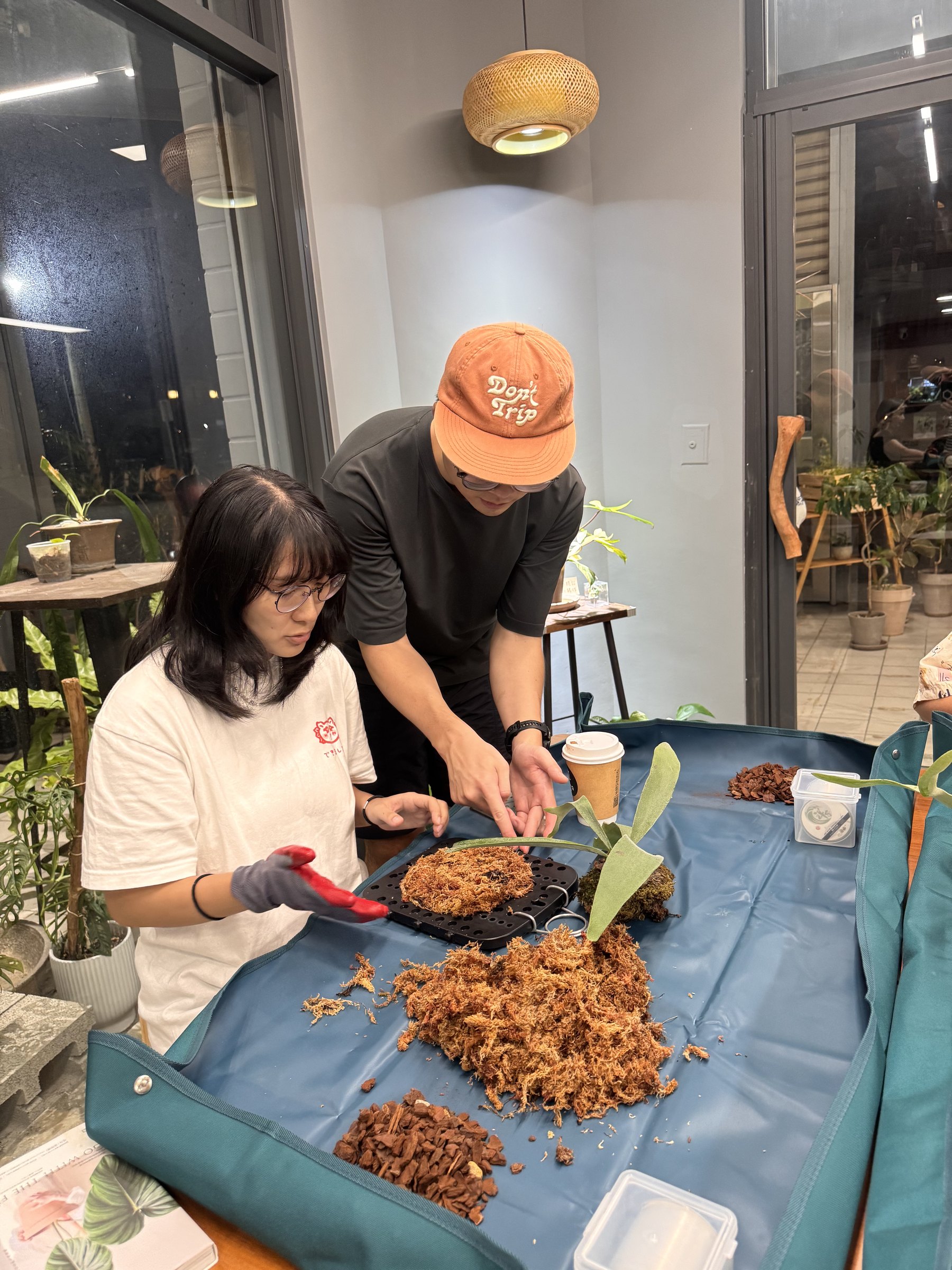 A participant assembling a staghorn fern during a Plants Cafe workshop