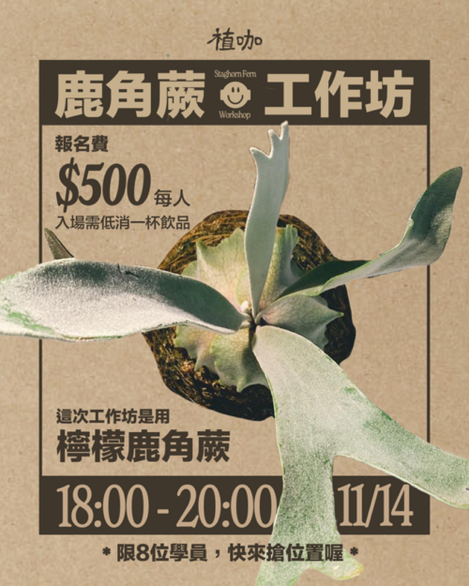 Plants Cafe staghorn fern workshop poster