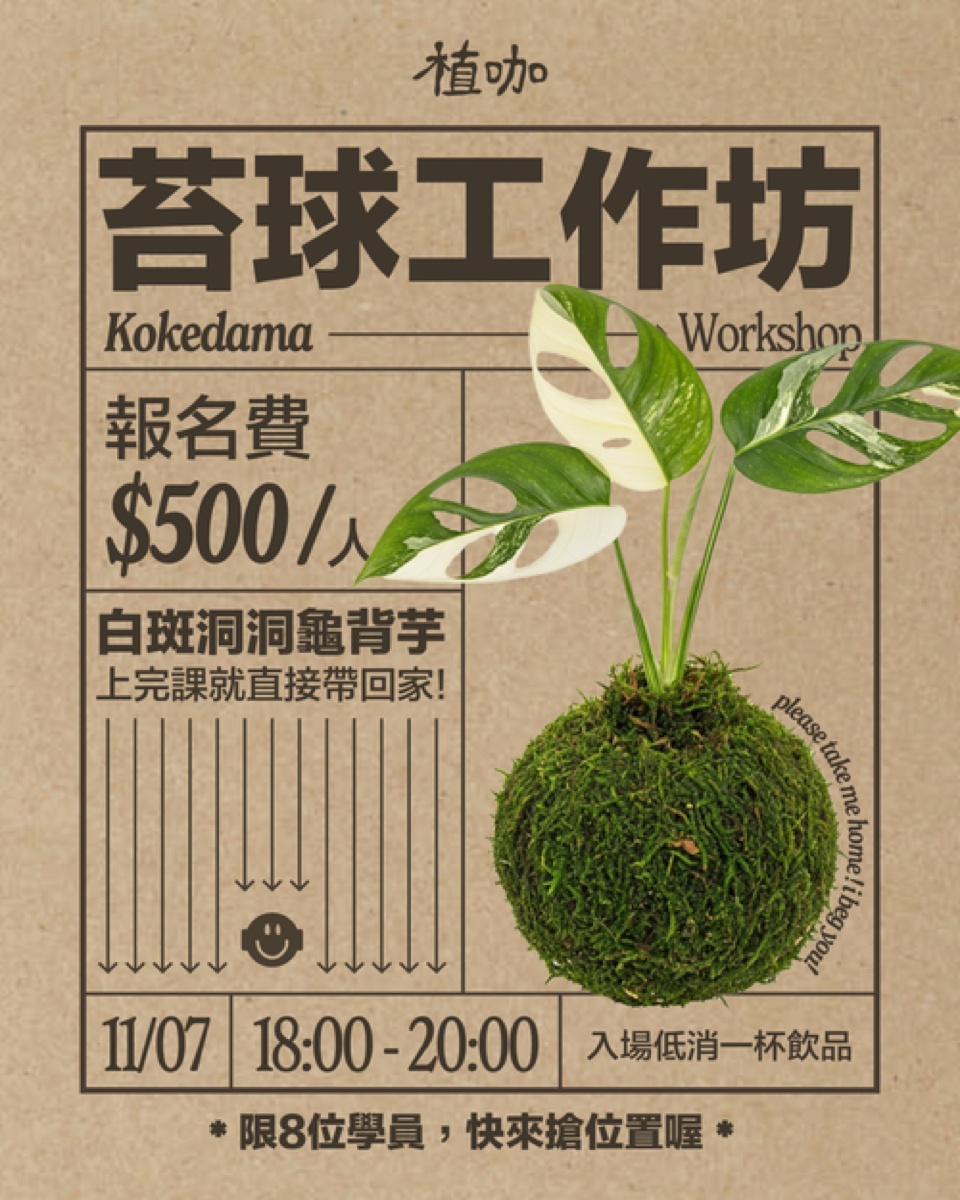 Plants Cafe kokedama workshop poster